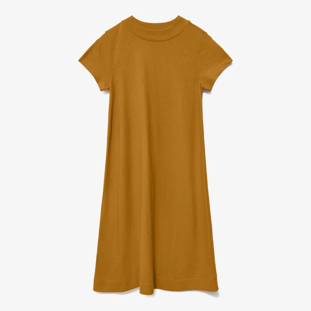 Everlane The Weekend Swing Dress